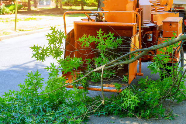 Best Sod Installation  in Warm Springs, OR